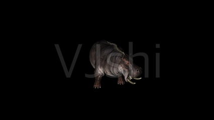 ۾ʪҺʲô
