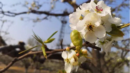 滨ʲôط
